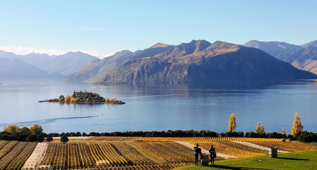 wine tour wanaka