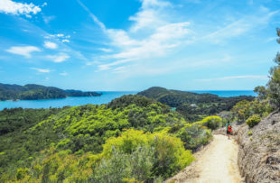 Anchorage, the landmark in Abel Tasman National Park - New Zealand