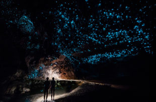 Waitomo Glowworm Caves New Zealand